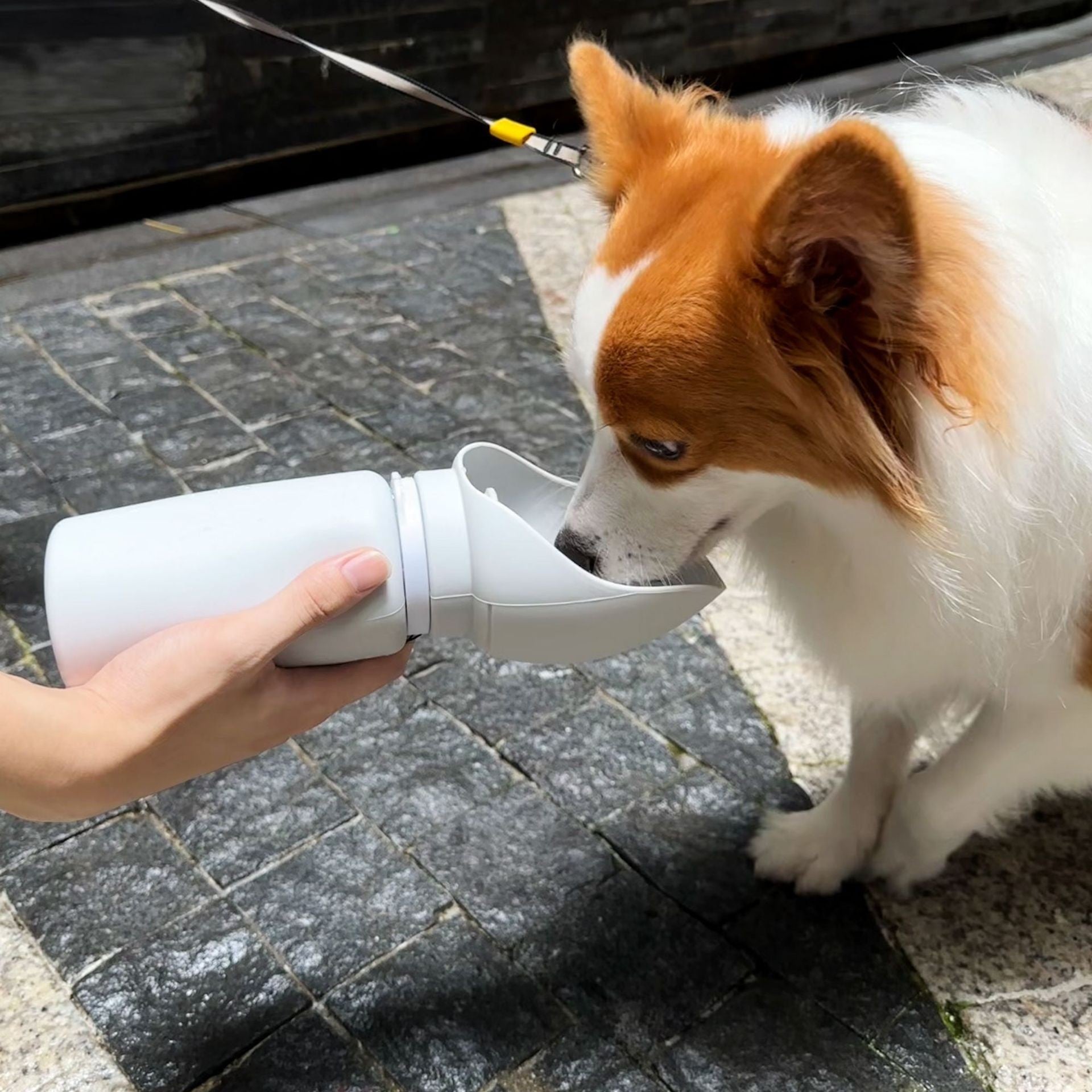 Foldable Pets Water Bottle