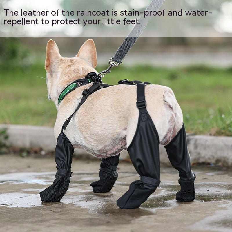 Suspender Dog Boots